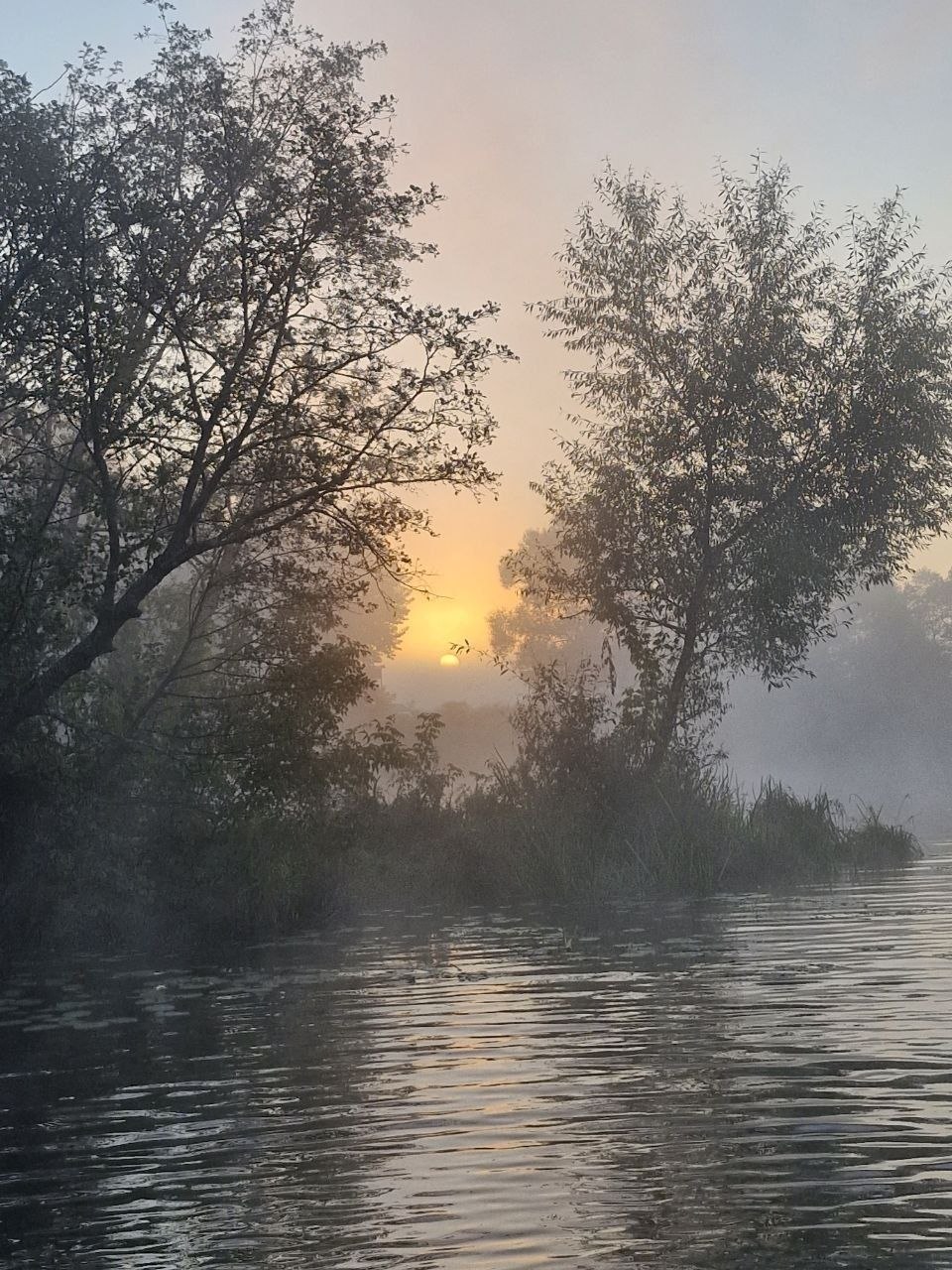 Go Kayak: прогулка на воде, фото 17